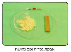 (בספר תמונה, היעזר במנחה)
